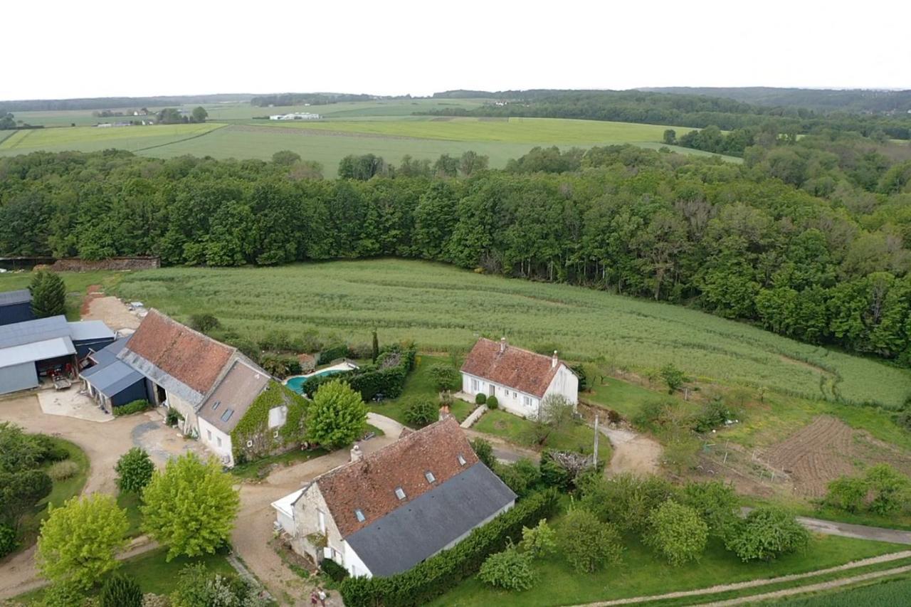 Chambres D Hotes De La Mauguiniere Neuillé-le-Lierre Zewnętrze zdjęcie